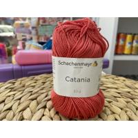 CATANİA NO: 252