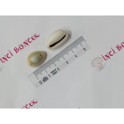 Natural Deniz Kabuğu No: 6