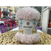 KARTOPU ANAKUSUZU NO: 699 KARTOPU ANAKUSUZU NO: 699