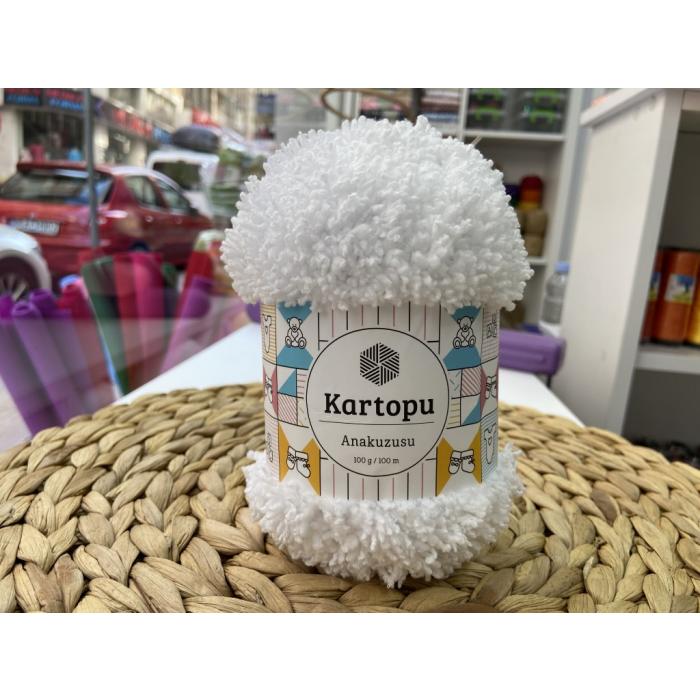 KARTOPU ANAKUZUSU NO: 010