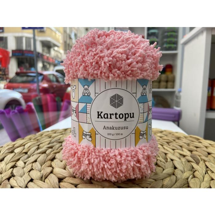 KARTOPU ANAKUZUSU NO: 788